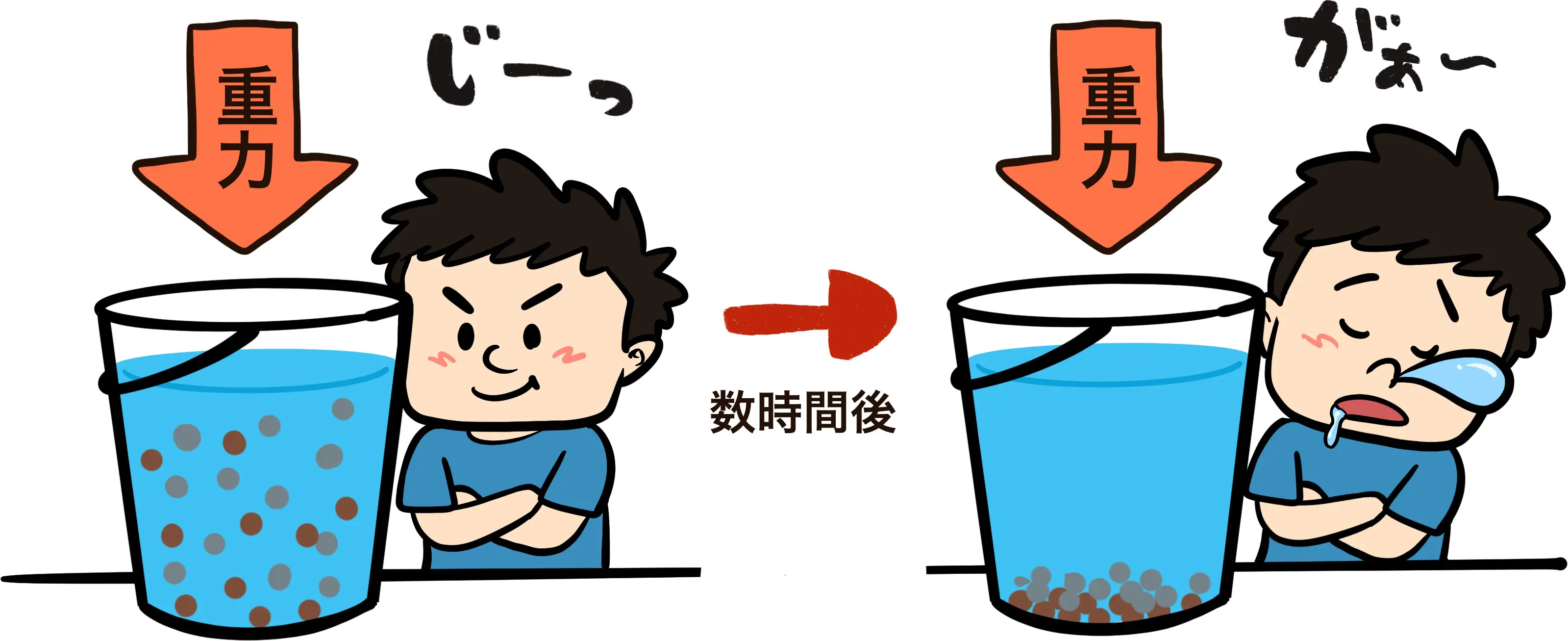 重力沈降イラスト